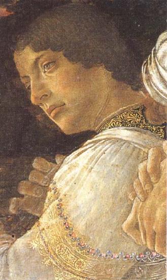 Sandro Botticelli Young kneeling mago oil painting picture